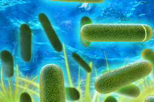 https://www.uat-stroma.com/certification/legionella-certification