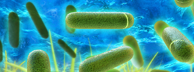 Legionella Certification